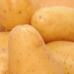 Bio Erdäpfel